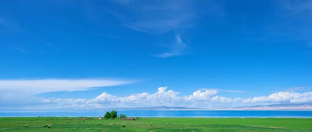 公众号历史文章搜索-析模界