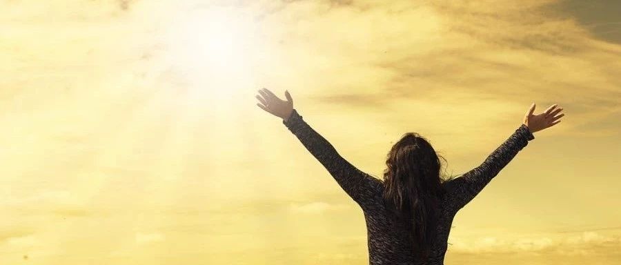 Fluent 2020新版本更新内容-析模界