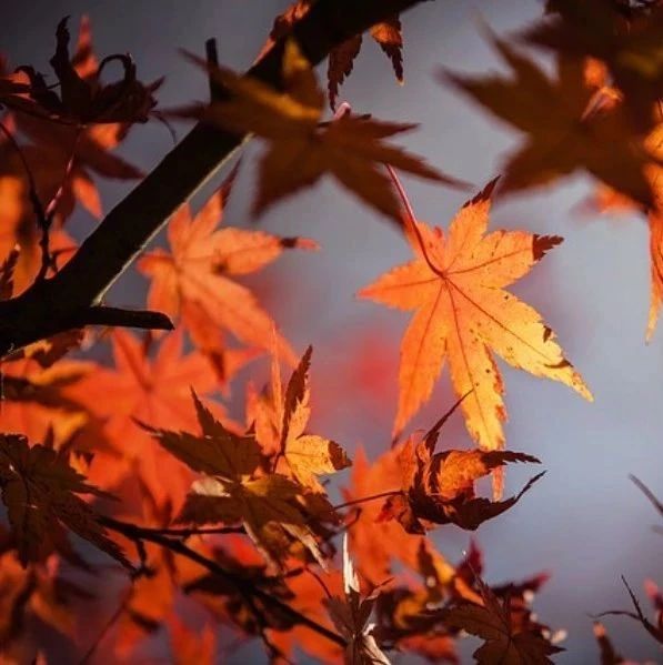 Fluent验证案例68:偏心环空中轴向流动-析模界