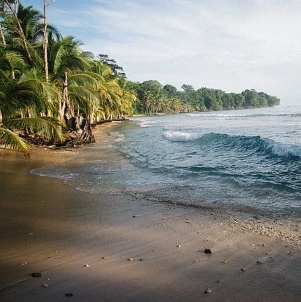 不赞同看视频-析模界