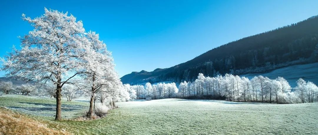 再来扯国产CFD软件-析模界