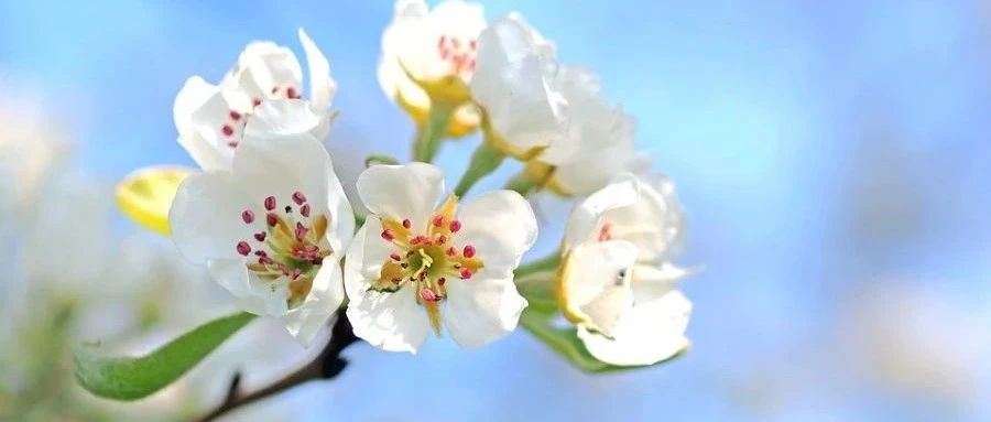 Fluent气动声学|04 宽带噪声模型-析模界