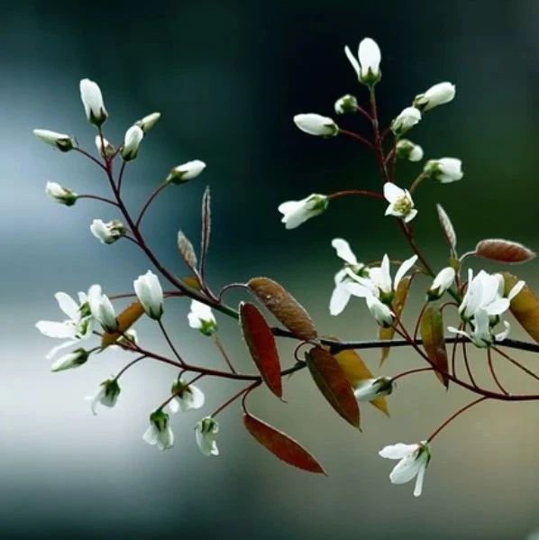 CFD仿真工程师哪儿来那么多鄙视-析模界