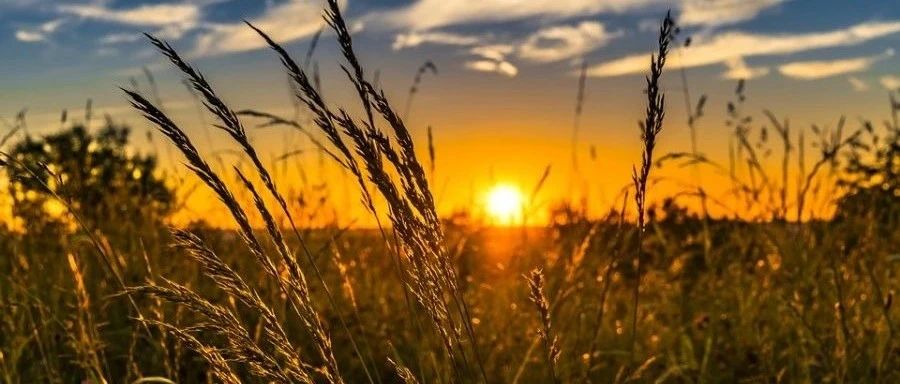 Rocky案例|液力输送-析模界