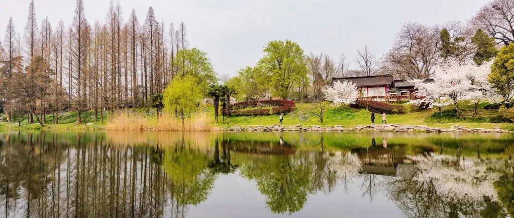 WSL中使用ParaFoam的两种方法-析模界