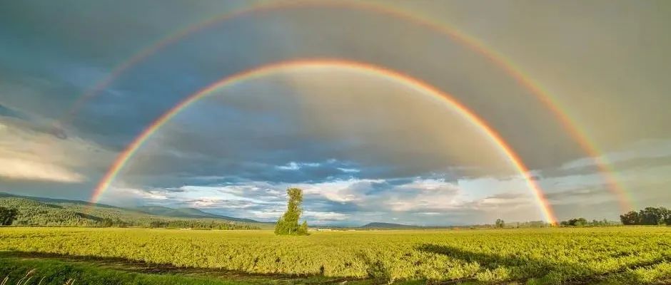 AEDT Icepak案例｜03 ECAD模型导入及处理-析模界