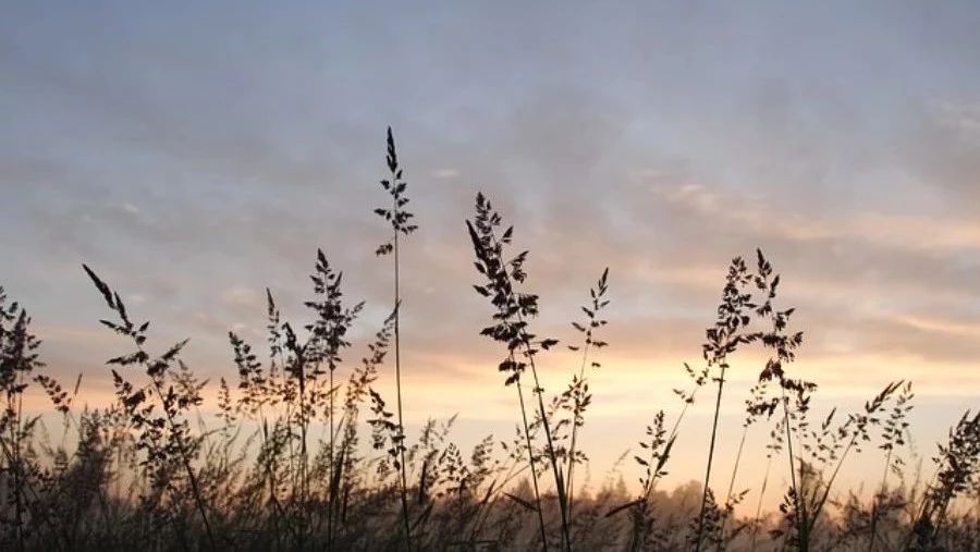 【案例】SCDM创建外流计算域-析模界