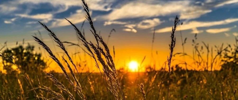 CFX旋转机械|01 离心压缩机-析模界