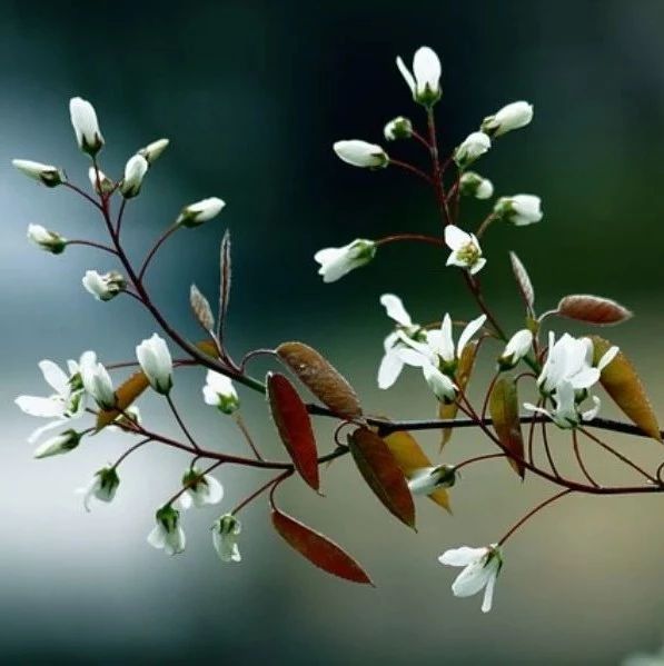 STAR CCM+，想要说声爱你真的好难！-析模界