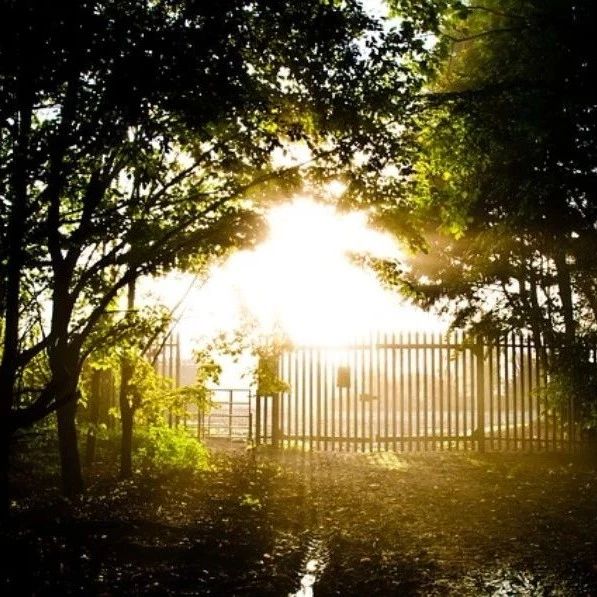 「软件速递」Markdown:让文字创作不再枯燥乏味-析模界