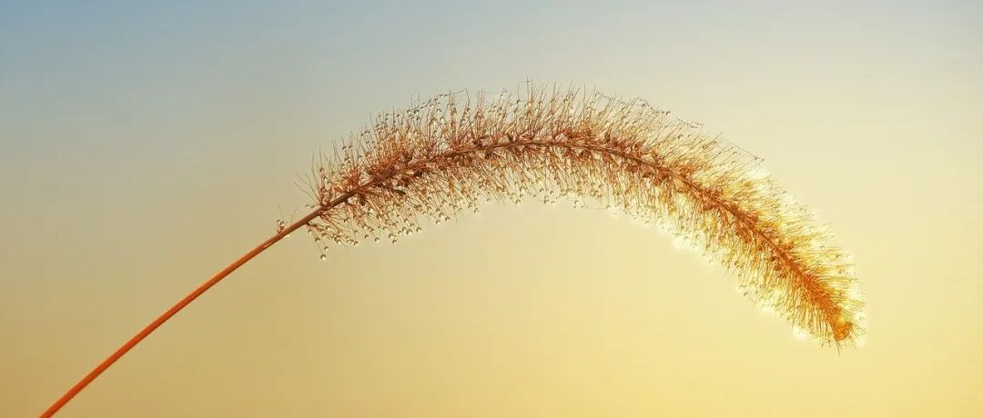 淘了一台工作站-析模界