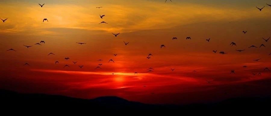 胡扯｜手太冷不想拿出来-析模界