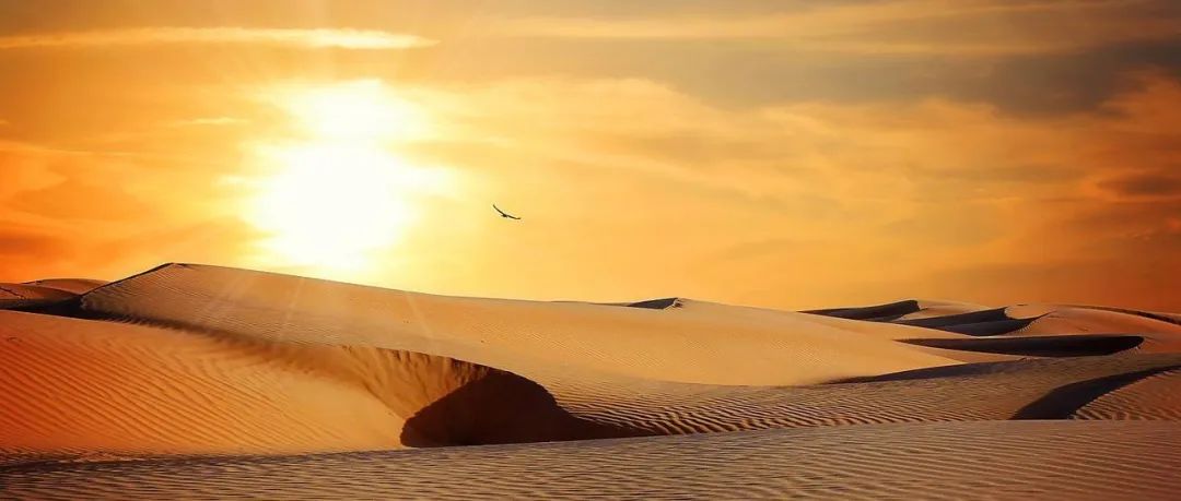 Fluent案例｜吹塑成型-析模界