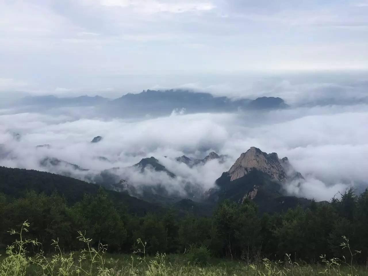 先结婚后恋爱-入职培训-析模界