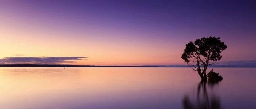 CFD应用行业调研分析报告-析模界