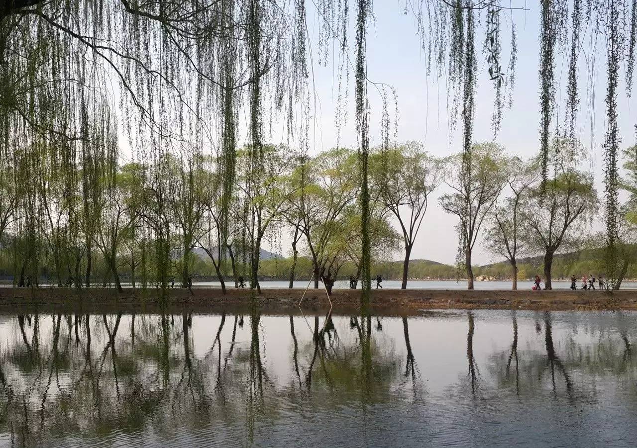 房间里的大象——可以这样推翻伽利略的比萨斜塔实验-析模界