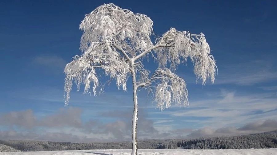 【多相流计算】案例03：凝固I-析模界
