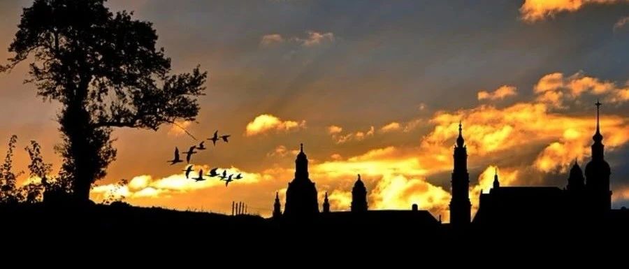 OpenFOAM｜算例 03 pitzDaily-析模界