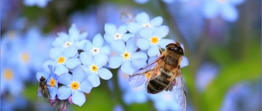 【流固耦合案例】Fluent实现单向流固耦合计算-析模界