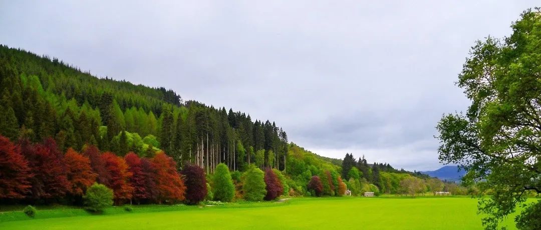 OpenFOAM编程案例｜05 并行编程-析模界