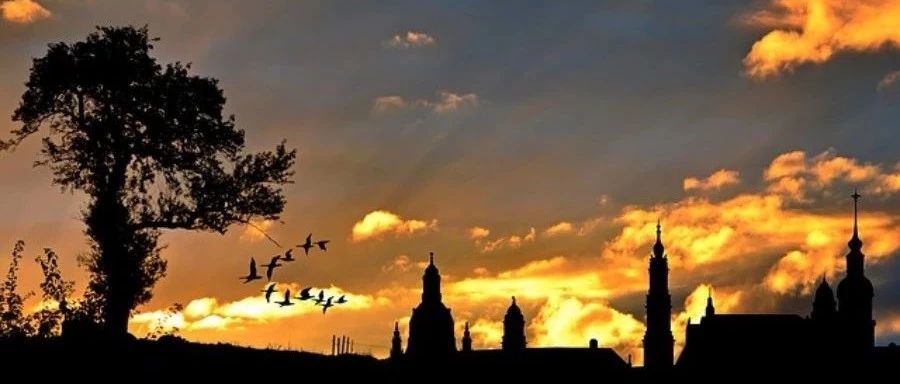 Fluent Meshing 2019R1更新内容-析模界