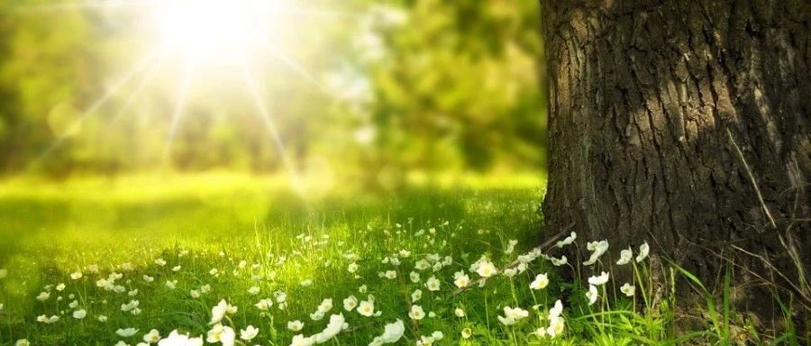 Fluent 并行UDF丨02 网格术语-析模界