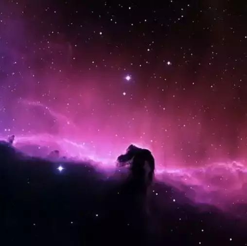 【CFX案例】01：柔性管道[2]-析模界