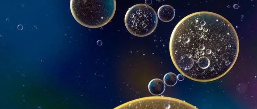 流体力学中常用的无量纲数-析模界