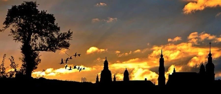 XFlow|球球-析模界