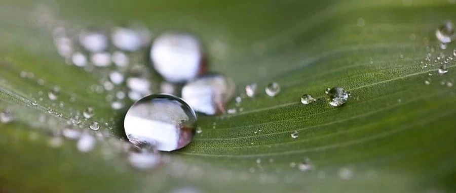 「软件速递」Polyflow:非牛顿流体流动模拟利器-析模界