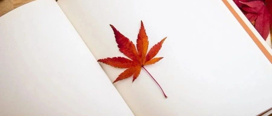 Fluent动参考系|05 风机-析模界