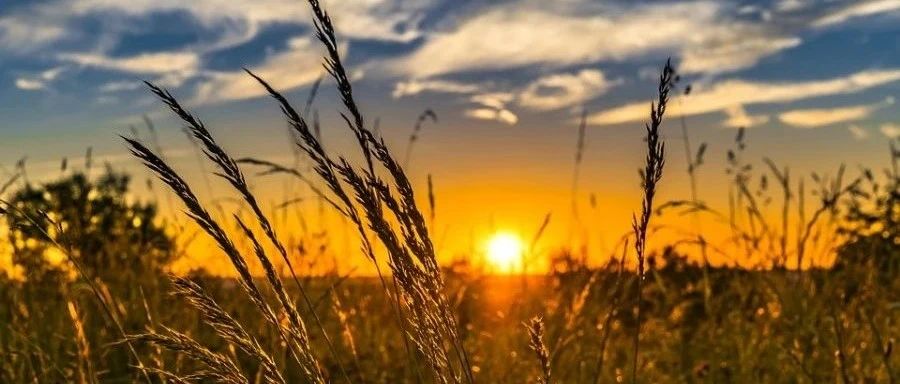 利用deb包安装OpenFOAM8-析模界