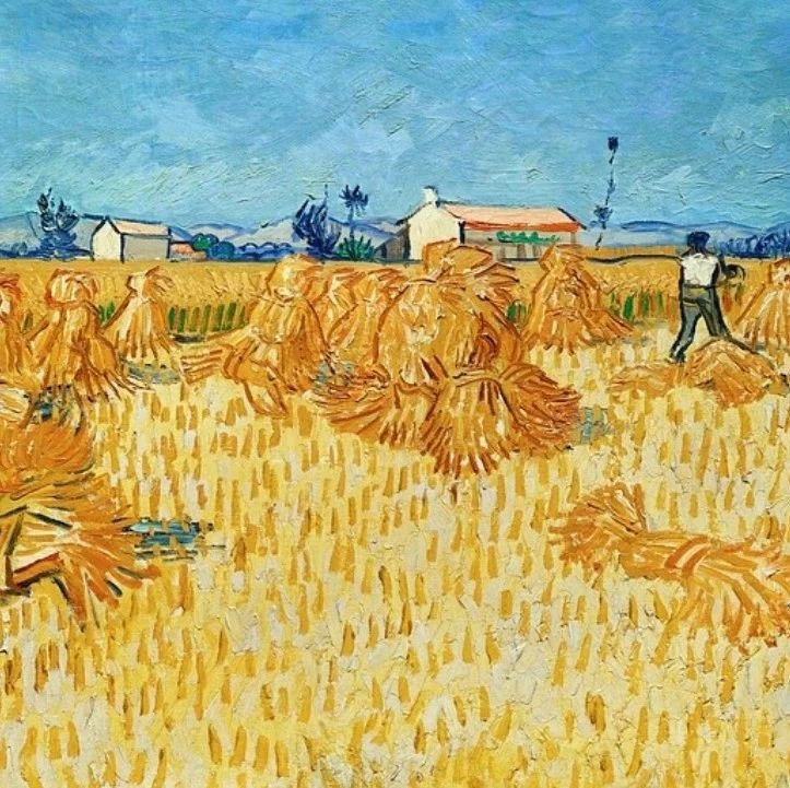 Fluent验证案例63:钝头体流动分离再附着-析模界