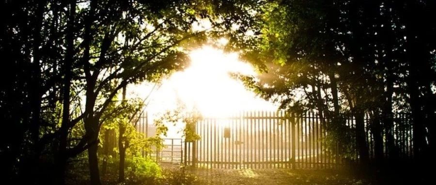 Fluent验证案例66:密闭空腔辐射换热-析模界