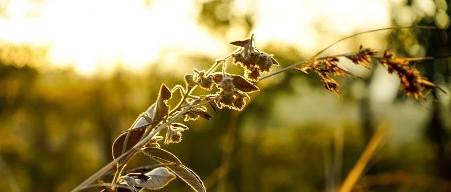 Fluent内置流固耦合|01 使用流程-析模界