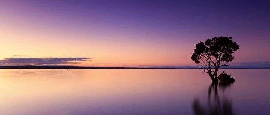 小白学CFD｜10 编程-析模界