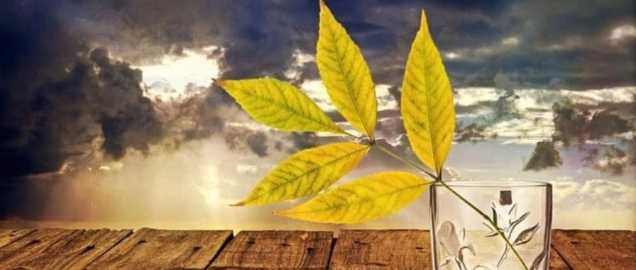 Fluent Meshing|11 几何导入-析模界