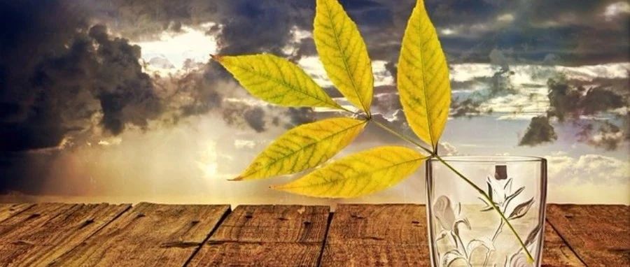 【Icepak案例】12：热辐射计算-析模界