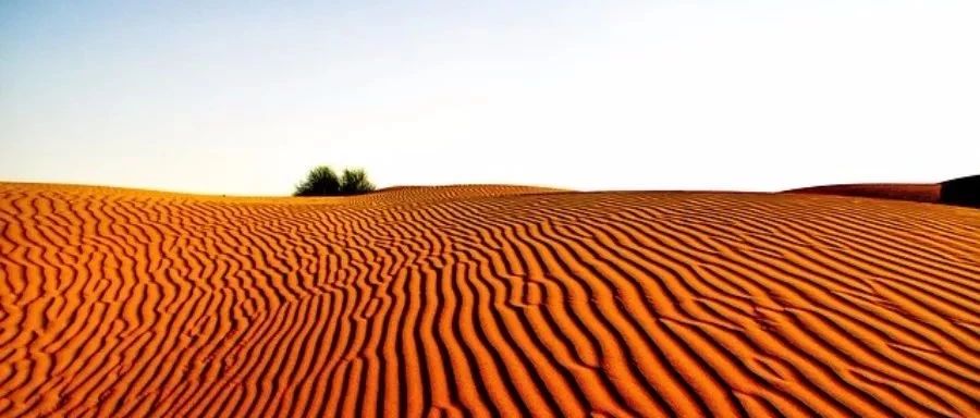 MFIX|01 二维流化床-析模界