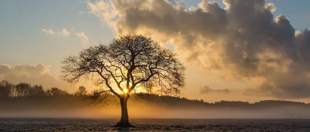 STAR CCM+案例｜粘弹性流体挤出-析模界