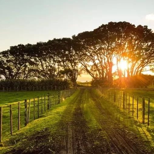 【声学案例】02：FWH方法（续）-析模界