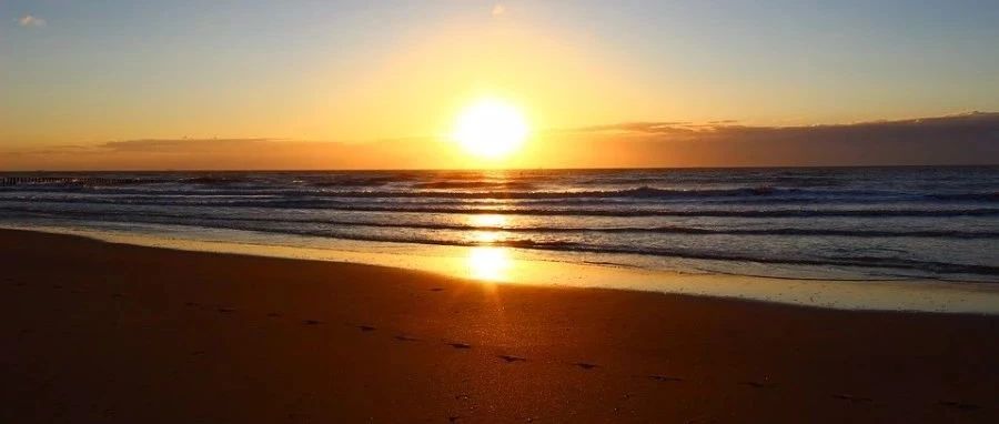 【scFLOW】喷雾计算-析模界