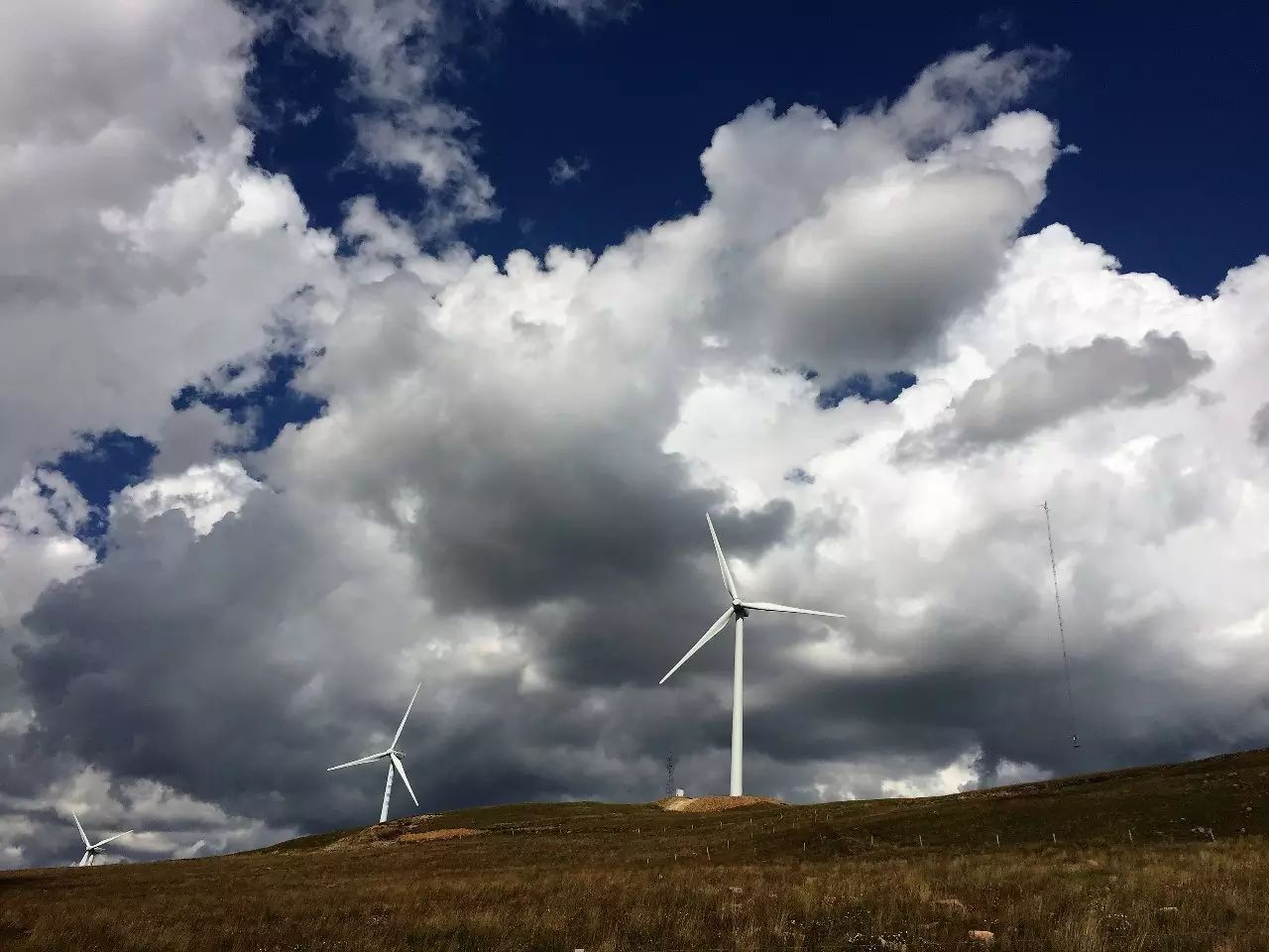 企业研发的盲目乐观和盲目悲观-析模界