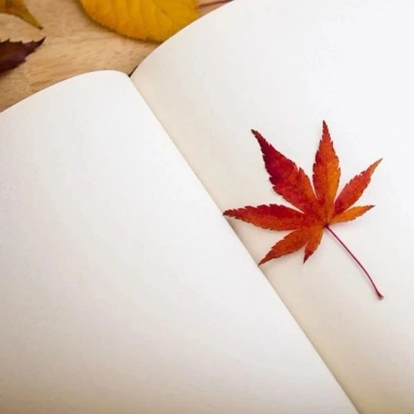 关于Python-CFD系列的说明-析模界