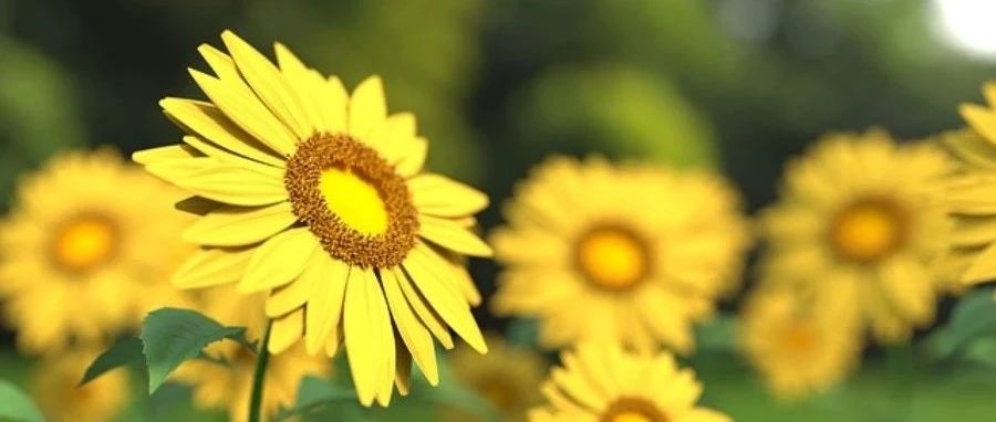 Fluent验证案例64:非对称突扩通道内低雷诺数流动-析模界