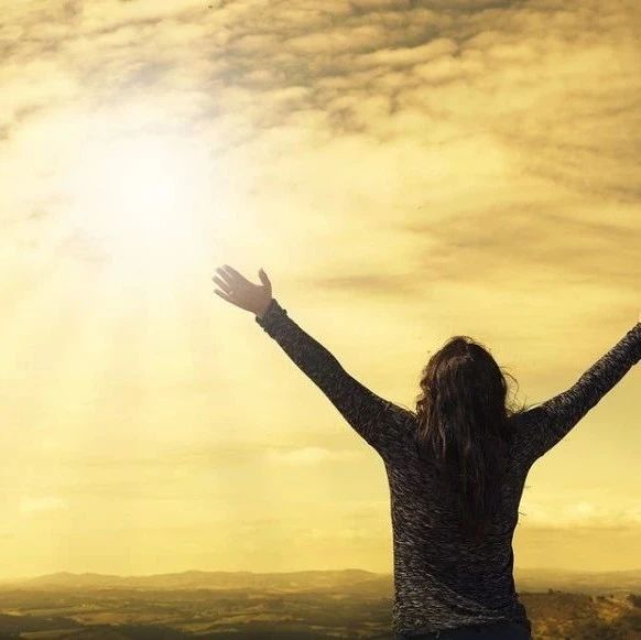 CFD应用软件分布调研，期待道友您的参与！-析模界