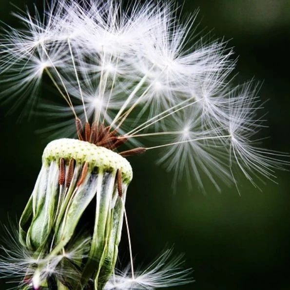 【燃烧案例】06：预混燃烧-析模界