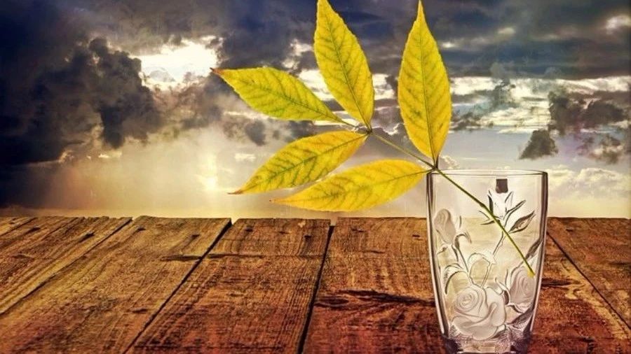 Fluent验证案例20：缸内绝热压缩-析模界