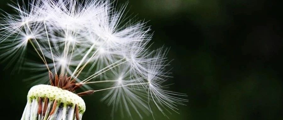 沸腾｜03 Critical Heat Flux模型-析模界