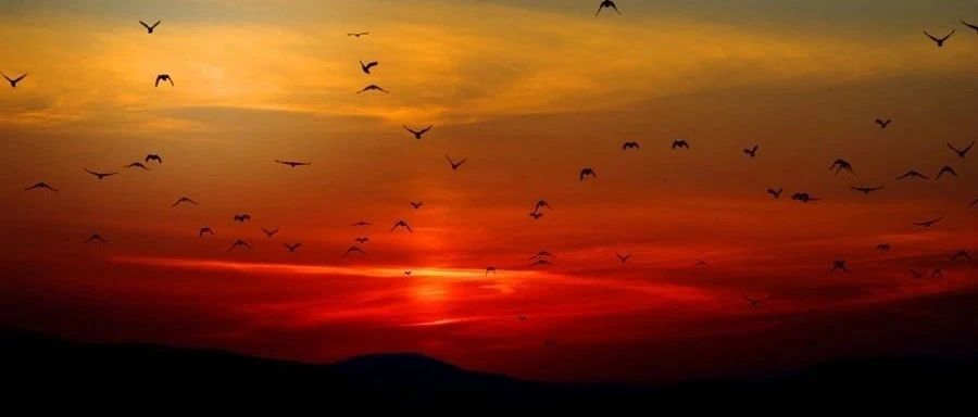 CFX验证|09 自然对流-析模界